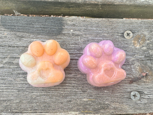 Resin Paddy Paw