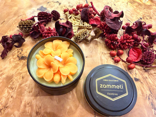 Zammeti Candle Collection - Christmas Tree Green 100g